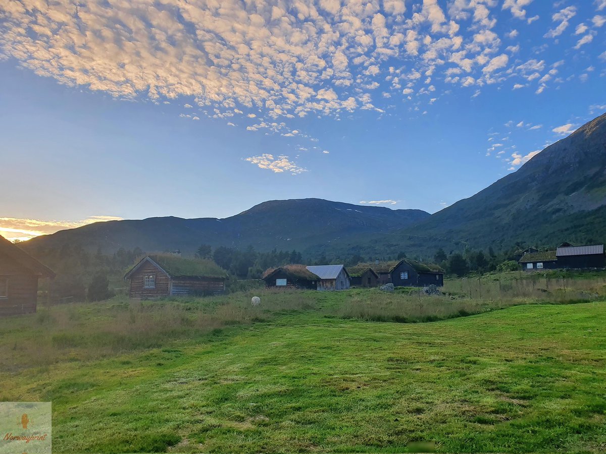 Excited to share the latest addition to my #etsy shop: Escape to the Majestic Mountains and Rolling Hills of Stryn, Norway #unframed #landscapescenery #bedroom #countryfarmhouse #horizontal #norway #digitalprint #photo #nature etsy.me/3YZiqTJ