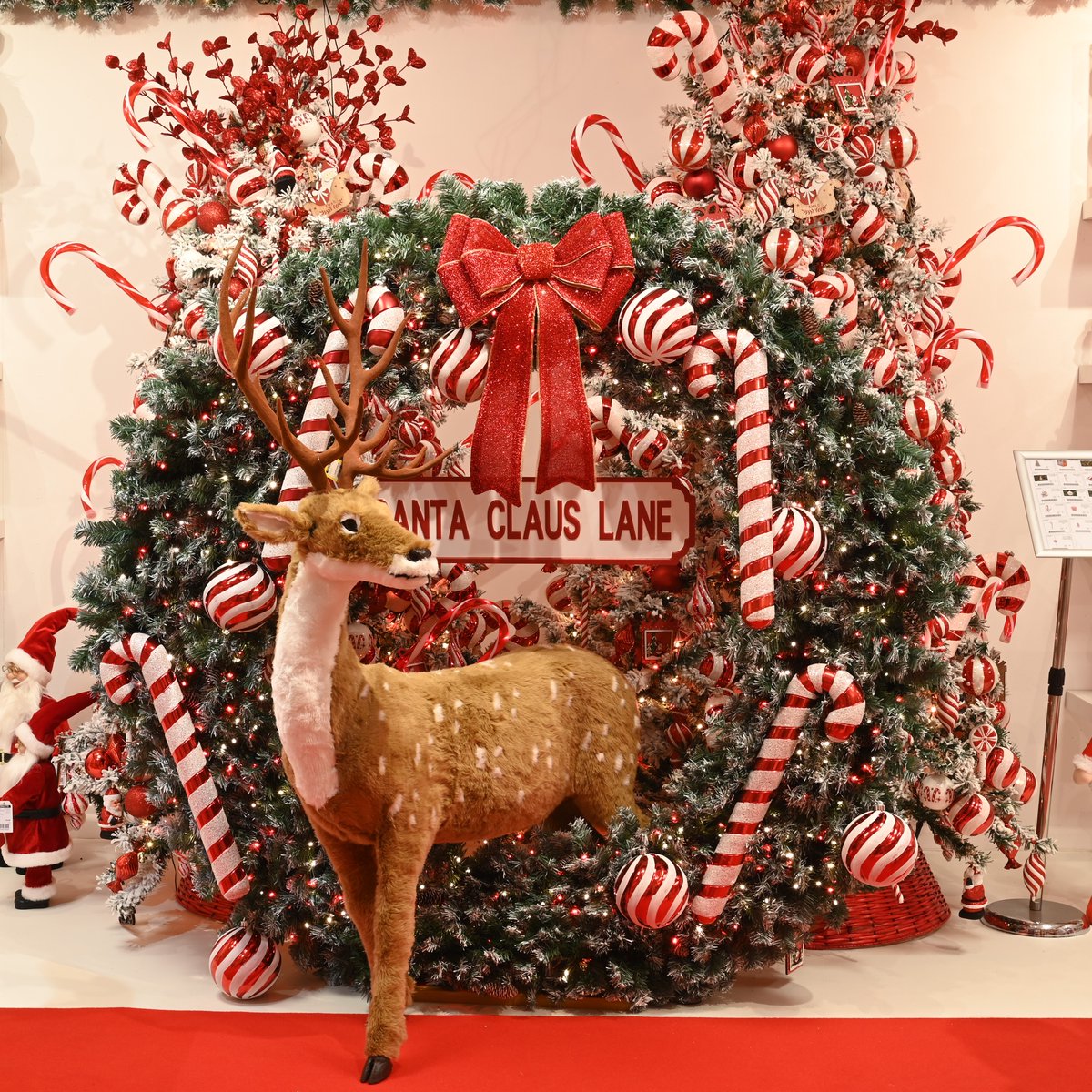 Festive_UK's tweet photo. Our large wreath frames come in two sizes for incredible bespoke Christmas displays.

Available in either 200cm or 150cm sizes, each frame comes flat packed and is easy to assemble, what you dress it with is up to you! https://t.co/1Q0bsRTQCw