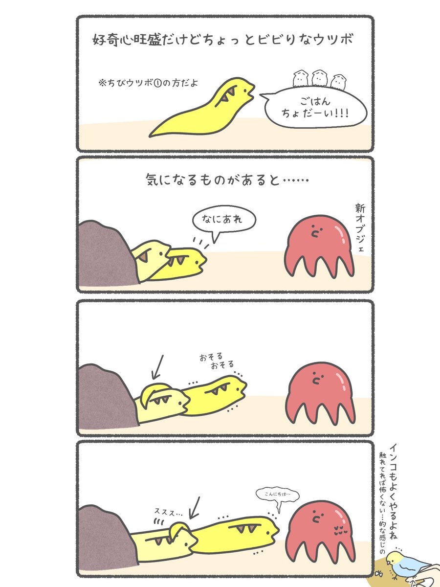 ウツボの可愛いところ 