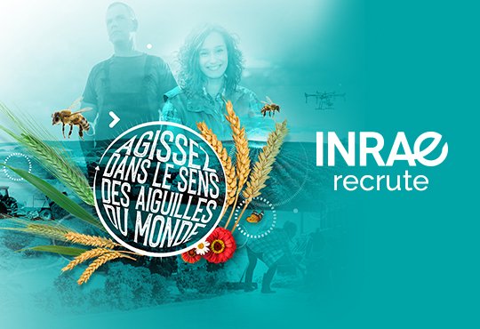 Notre unité <a href="/UMR_IAM/">UMR IAM @umr-iam.bsky.social</a> recrute un.une Technicien-ne biologiste (microbiologie environnementale et génomique microbienne)
jobs.inrae.fr/concours/conco…