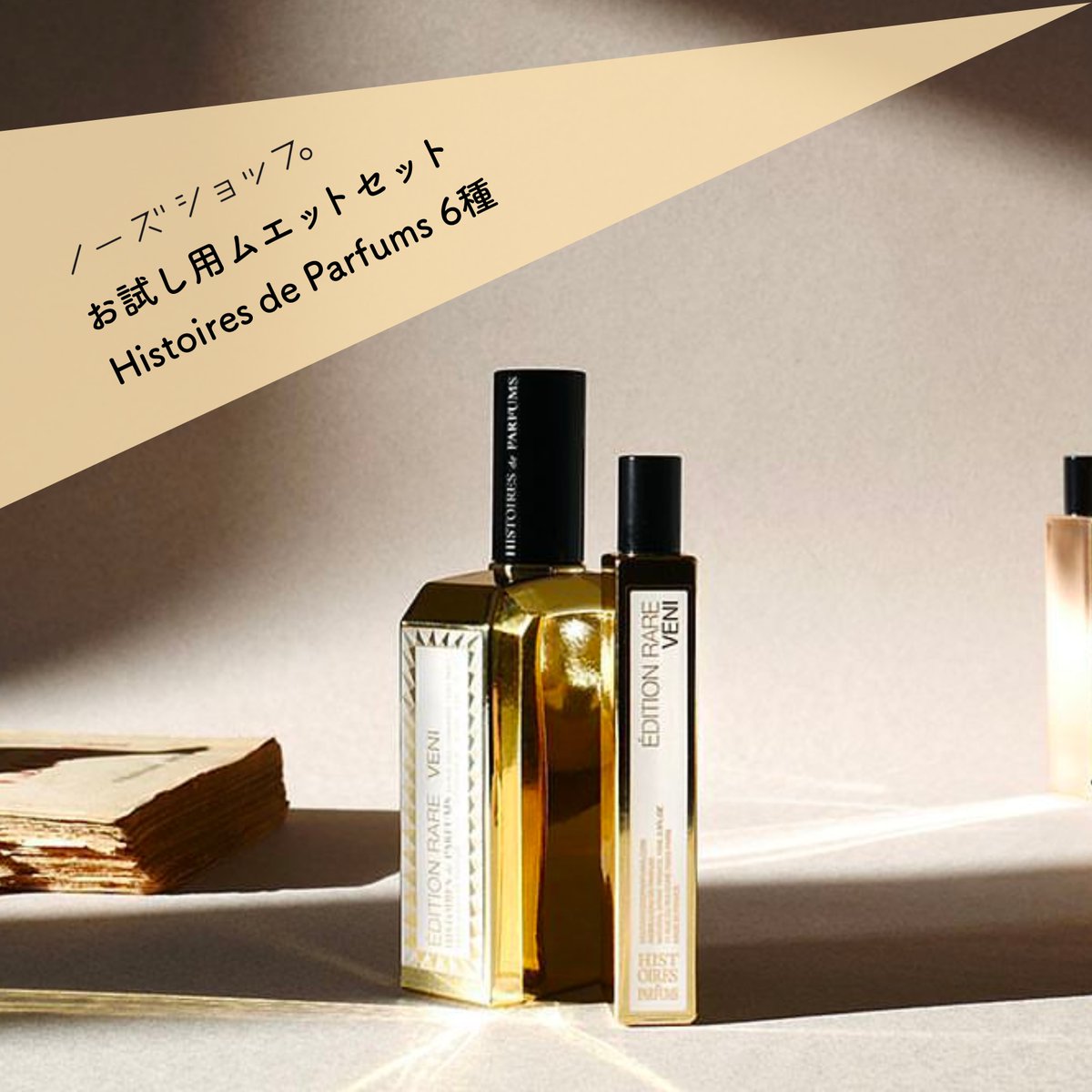 再入荷情報 🚚⚡️】 Maison Violet「コンプリモン｜褒め言葉」が再