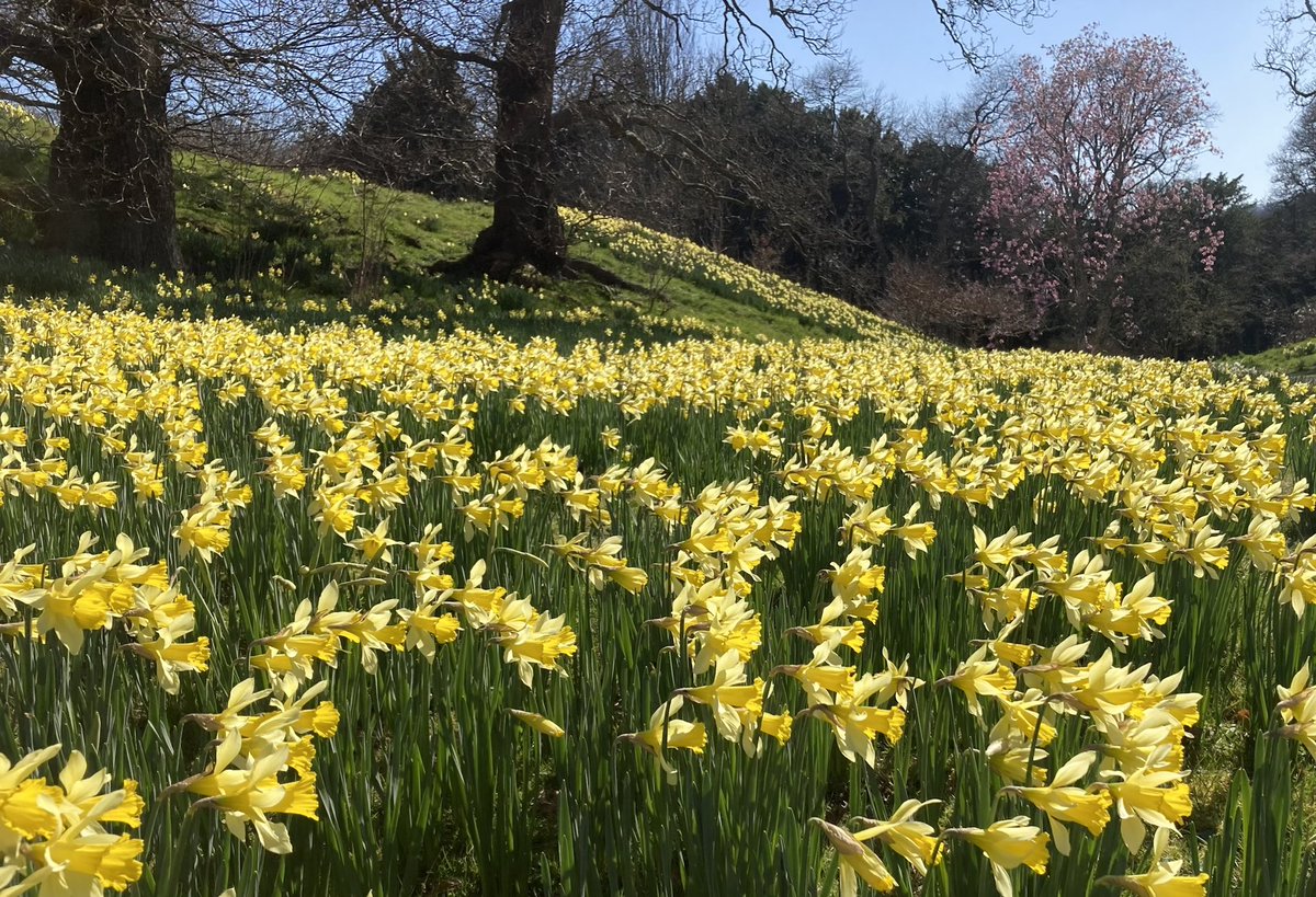 DEWIS architecture tweet media