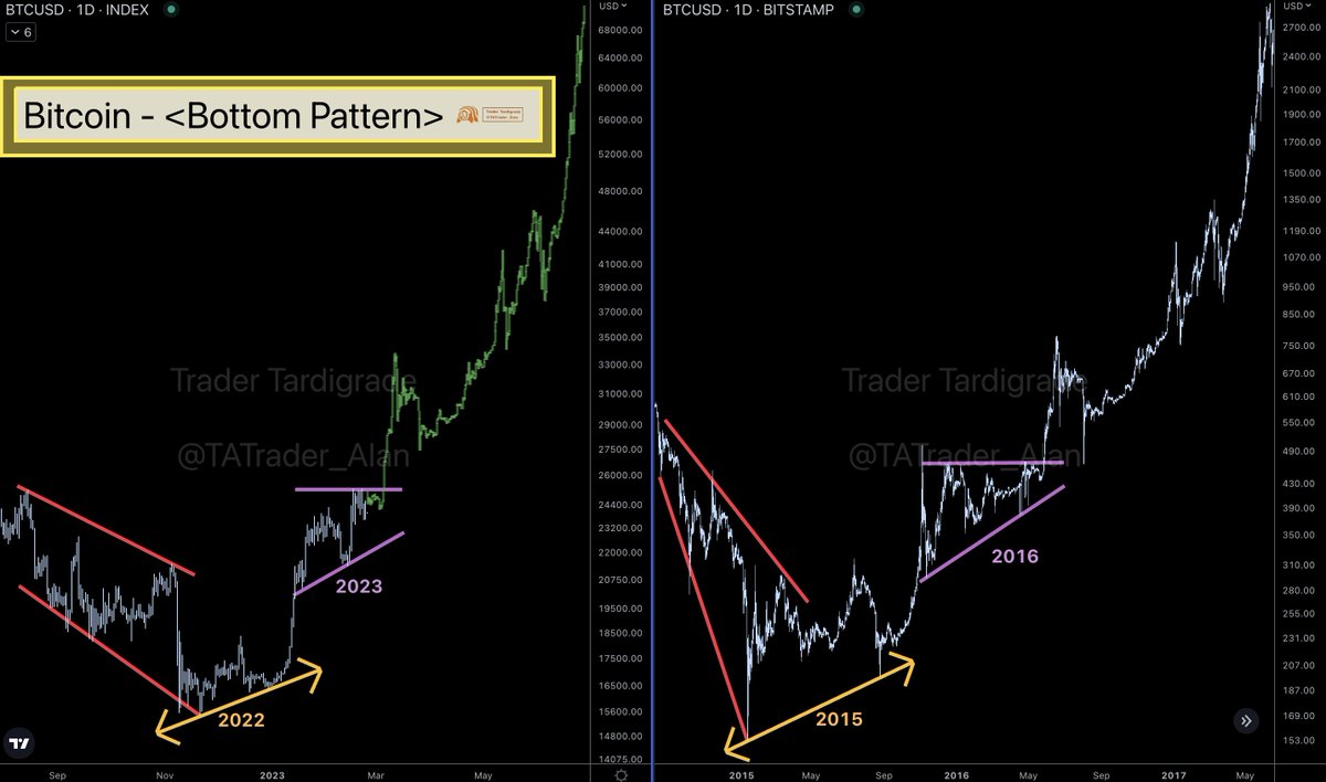 Trader Tardigrade tweet media