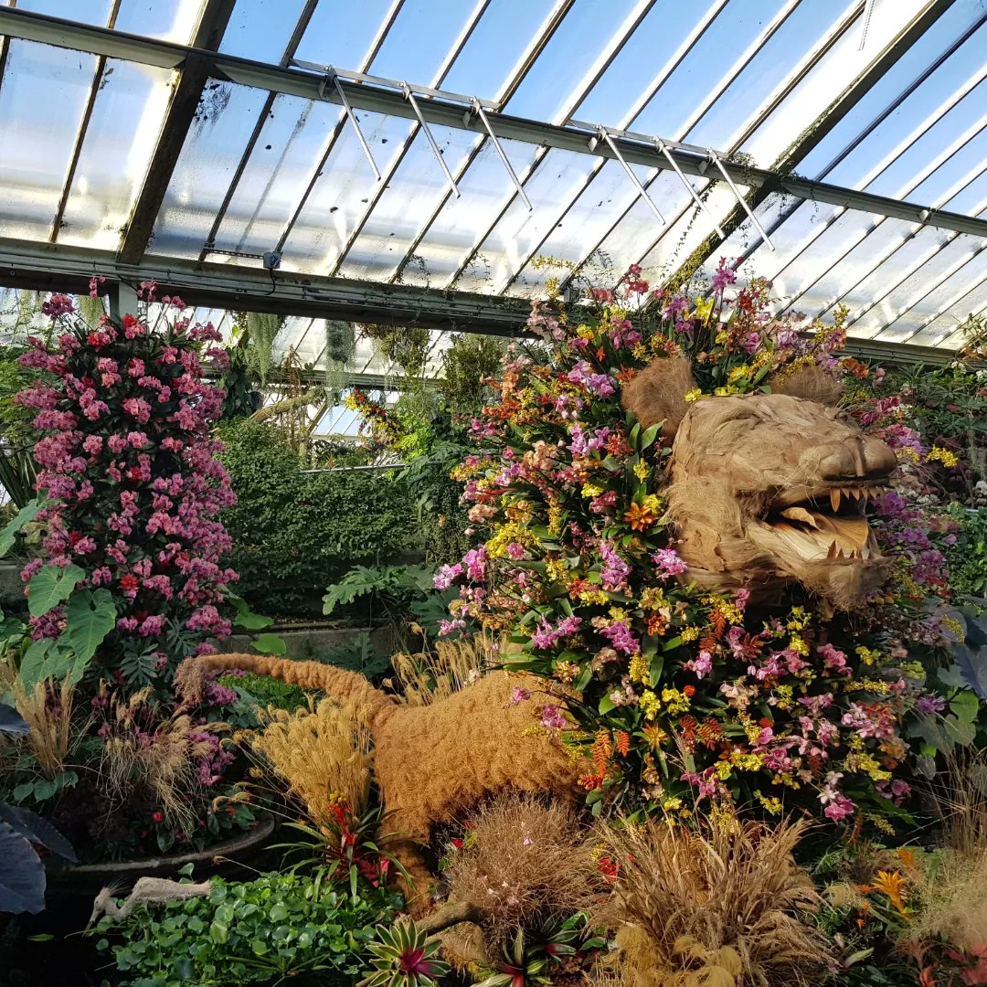 iAmJessG's tweet photo. A couple of pictures from this years orchid festival at @kewgardens https://t.co/j6pWwvhqpb