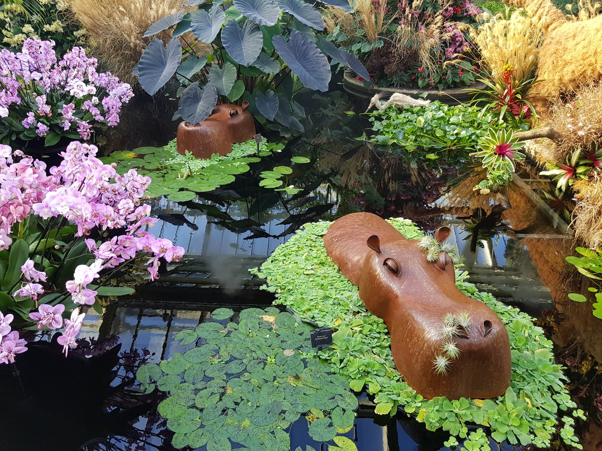 iAmJessG's tweet photo. A couple of pictures from this years orchid festival at @kewgardens https://t.co/j6pWwvhqpb