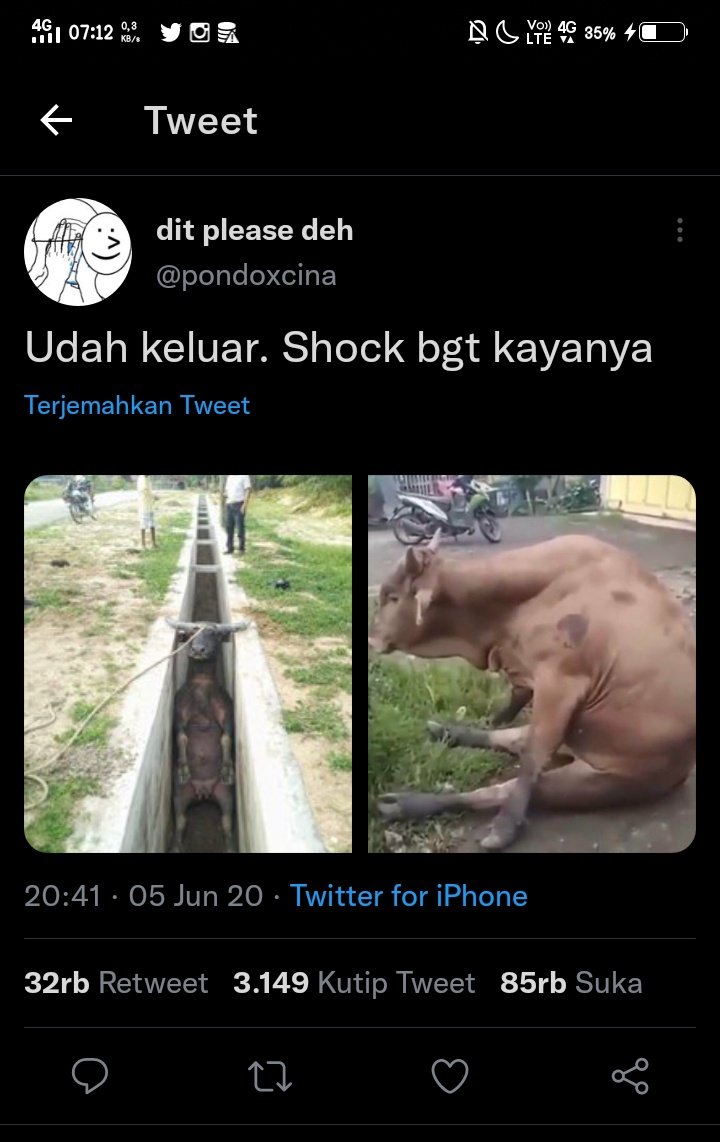 orenjei's tweet photo. https://t.co/Fcxv3gbAsP
