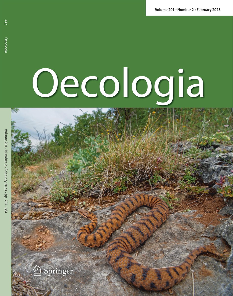 Excited to share the latest #Oecologia <a href="/SpringerEcology/">大富豪/至尊娱乐城/浩瀚电竞/亚盘/麻将玩法/西甲直播/芬超/CQ9/新币娱乐/千亿体育/腾龙集团</a> journal cover featuring our research on hydroregulation in vipers, with a stunning picture from <a href="/MBerroneau/">Matthieu Berroneau</a> @Sentinellesdc!
Study led at <a href="/Ecophy_CEBC/">Ecophy</a> with <a href="/LourdaisOli/">Olivier Lourdais</a>; and <a href="/LeGalliard_Lab/">Jean-François Le Galliard 🦎🇺🇦</a> <a href="/iEESParis/">iEES Paris</a>: link.springer.com/article/10.100…