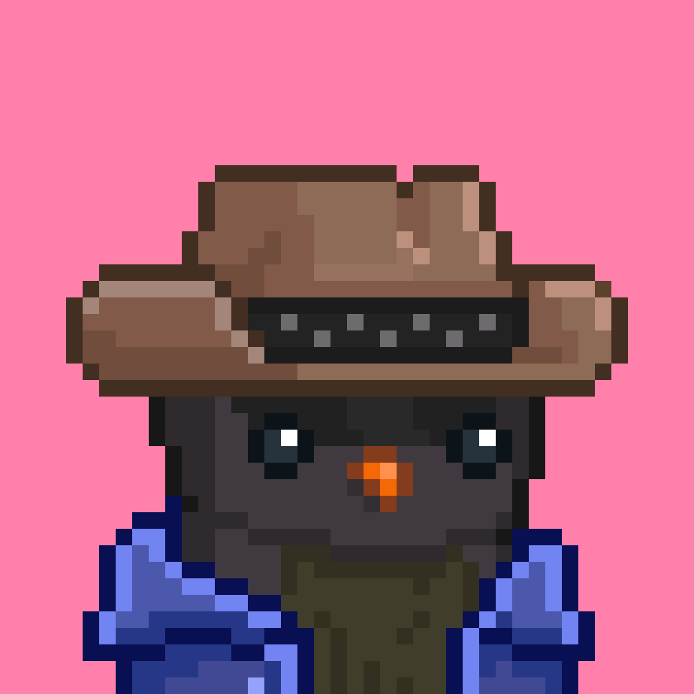 Solarbirds tweet media