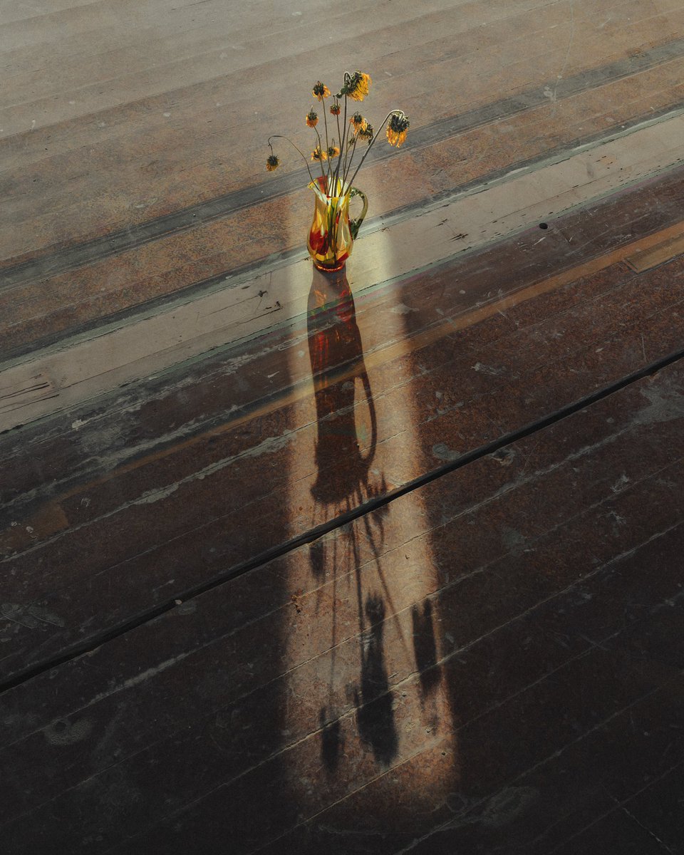 Sunflowers for Ukraine.
🌻🇺🇦

Speechless after the terrible events of the last months I made this still life, with my great-grandmother’s glassware from Ukraine, as a tribute to all the innocent victims.  
After one year of war, I’m still convinced that love will always win. 

☀️