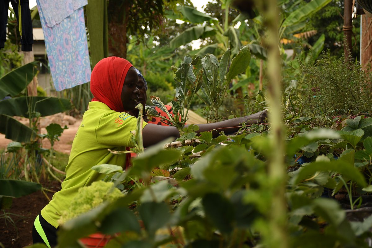 Nama_Health's tweet photo. Backyard gardening is growing healthy foods esp. vegetables at home. They provide fruits &amp; vegetables that can contribute to a healthy, nutritious &amp; low-cost diet. 
CHWs help community members in setting-up such gardens as way of promoting health most esp. in children under 5 https://t.co/qmapDaHFPT