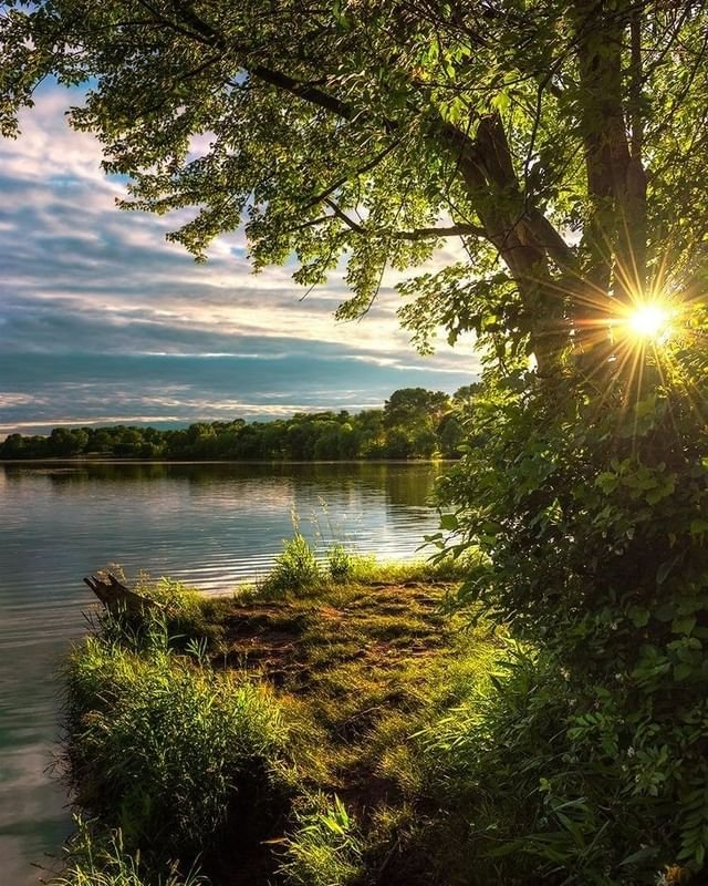 Courtne01902351's tweet photo. #nature https://t.co/QJavhcSfW4