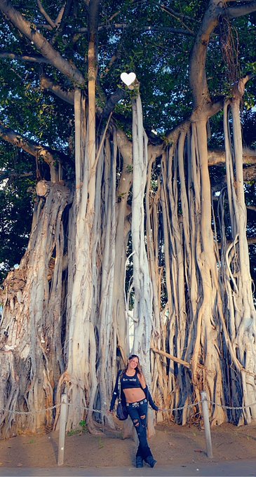 #hawaiigirls #lesbosinparadise #lesbianvampires #waikikitravel #NYCFemdoms #dominasNYC #travelingMistress<a href="/tag/hawaiigirls"class="tags">#hawaiigirls</a><a href="/tag/lesbosinparadise"class="tags">#lesbosinparadise</a><a href="/tag/lesbianvampires"class="tags">#lesbianvampires</a><a href="/tag/travelingmistress"class="tags"><span>#travelingmistress</span></a><a href="/tag/waikikitravel"class="tags"><span>#waikikitravel</span></a><a href="/tag/nycfemdoms"class="tags"><span>#nycfemdoms</span></a>