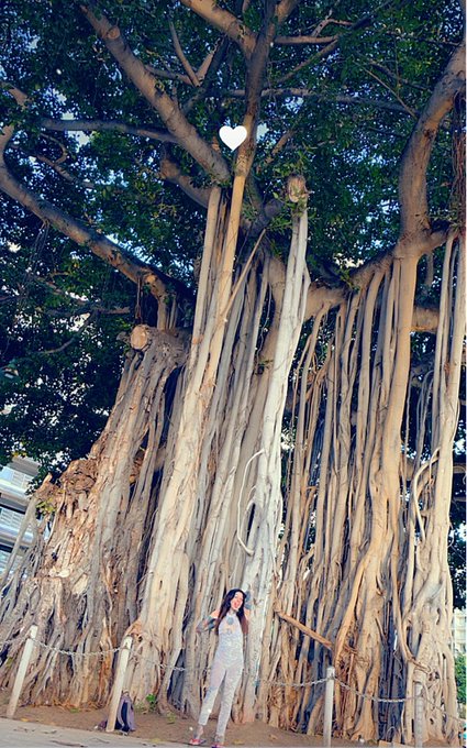 #hawaiigirls #lesbosinparadise #lesbianvampires #waikikitravel #NYCFemdoms #dominasNYC #travelingMistress<a href="/tag/hawaiigirls"class="tags">#hawaiigirls</a><a href="/tag/lesbosinparadise"class="tags">#lesbosinparadise</a><a href="/tag/lesbianvampires"class="tags">#lesbianvampires</a><a href="/tag/travelingmistress"class="tags"><span>#travelingmistress</span></a><a href="/tag/waikikitravel"class="tags"><span>#waikikitravel</span></a><a href="/tag/nycfemdoms"class="tags"><span>#nycfemdoms</span></a>