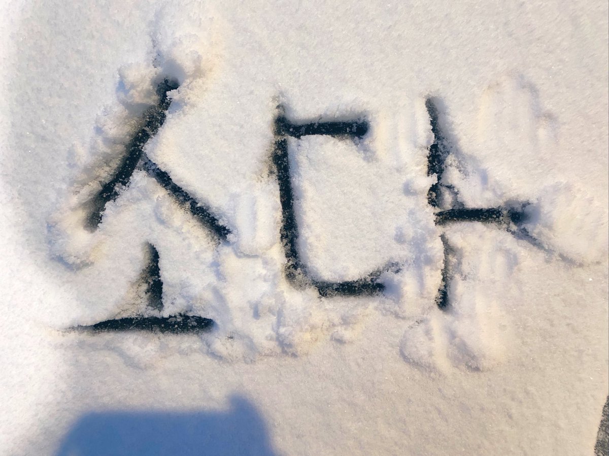 I love you guys and I miss you. Happy birthday Sodas 🥤 

#소다
#티에이엔
#TAN생일
#TAN ♥ #SODA
#HAPPY_SODA_DAY