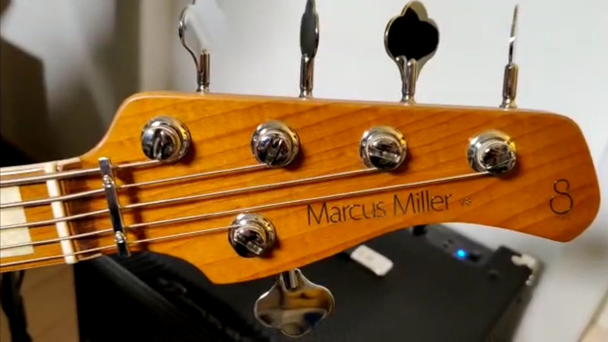 MusixAG's tweet photo. Are you a fan of #Sire? Follow us on Instagram: you will find planty of nice videos of David Caraccio testing wonderful #basses!

https://t.co/K2nr7B9Mbb

#ElectricBass #ElectricGuitar #acousticguitar
@sireusaofficial

https://t.co/Uk7rbBLHGT https://t.co/NhAVwvQN9I