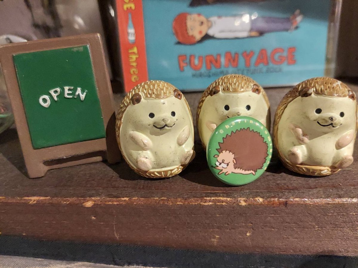 harinezumiband's tweet photo. 本日の来場者様は、こちらの缶バッヂをプレゼントします🦔
数に限りがありますのでお早めにお越しください〜！！ https://t.co/GwkdKCQ1zo
