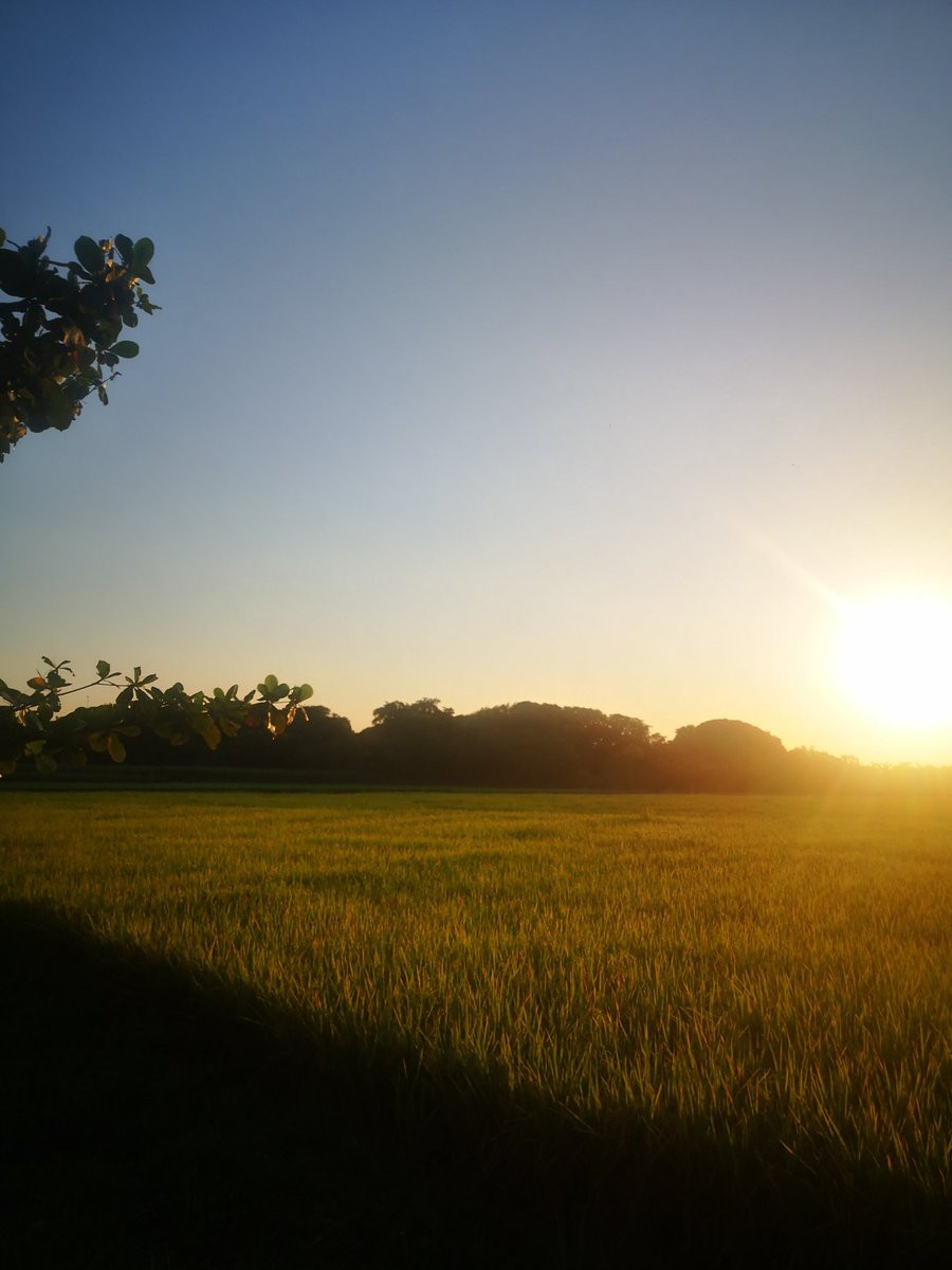 FeelthePH's tweet photo. Beer and sunset sesh at #Yellowtown #kozel #darkbeer #sunsetbeer https://t.co/eSw5yD9zti