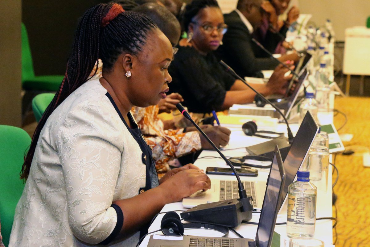 acerwc's tweet photo. #NHRIs from #Kenya, #Cameroon, #Mauritania, #Sudan, #Senegal, #Uganda, #Malawi, and #Tanzania reflected on decisions on communication that have been issued by the committee. @EUtoAU #AUEU #AGASP https://t.co/LVOujKPI9R