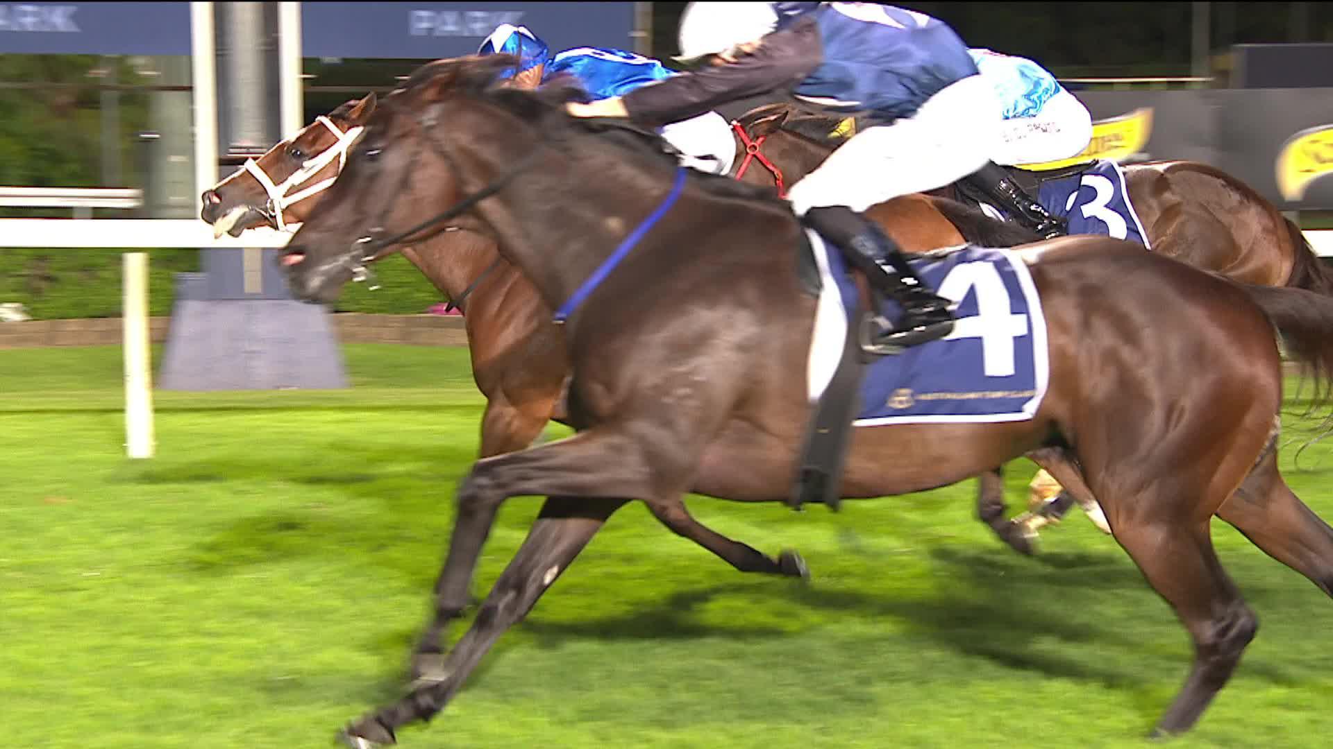 BallylinchStud (BallylinchStud) / Twitter