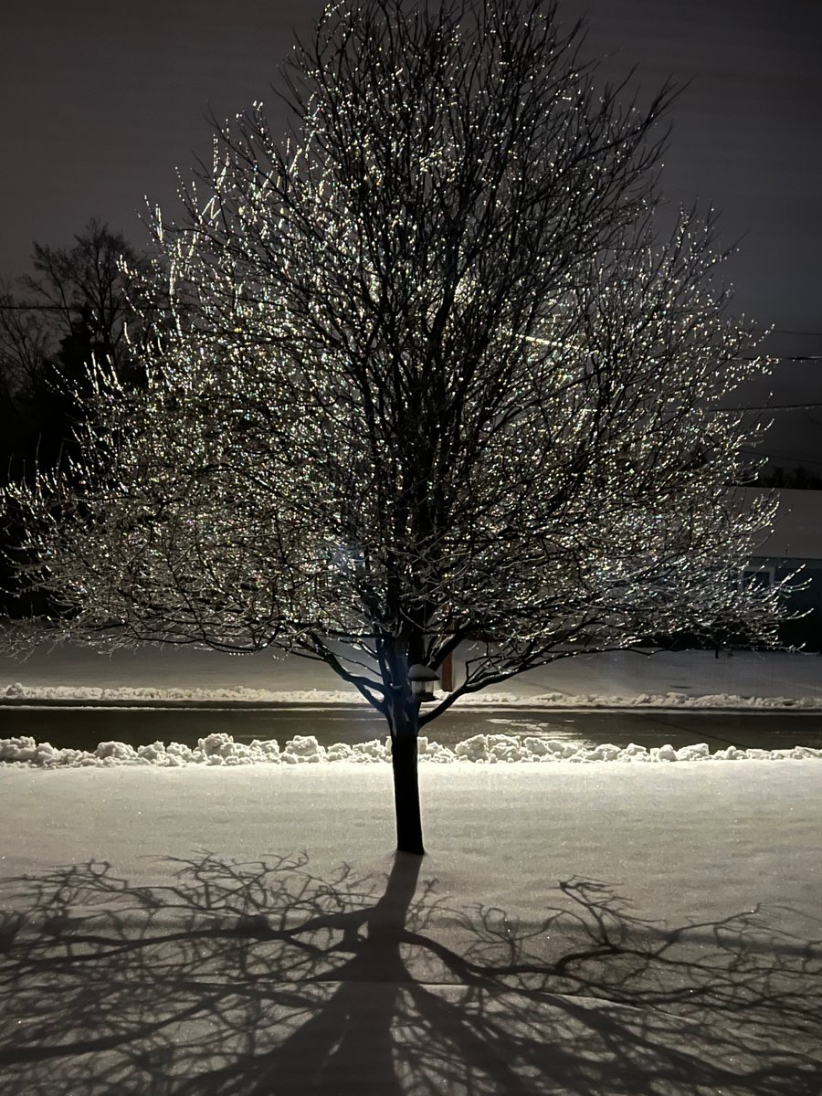 CNYCentral's tweet photo. Looks gorgeous but chilly! An early morning iced-over tree in Fulton (📸: Kathy Fitzpatrick). Keep the photos coming! Share your photos with us here: https://t.co/lQ1qtwyvdp
#CaptureCNY #fulton #fultonny #wnter #icy #frigid #cold #cny #centralny #centralnewyork #iloveny https://t.co/bUDWUHdMhq