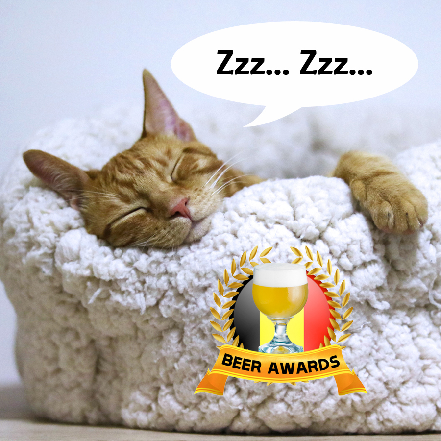 beerawardsbe's tweet photo. Sssttt... hier rijpt #BADF23 😉
#beerawards #beer #bier
https://t.co/6ZTfhgy7bo https://t.co/tyLHZO6O5w