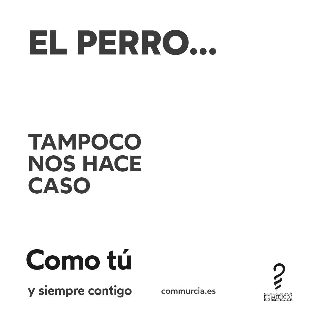 commurcia's tweet photo. Nos podemos desesperar paseando al perro, pero siempre estamos contigo.

Colegio Oficial de Médicos de la Región de Murcia.

#médicosmurcia #médicos #regióndemurcia #nuestroscolegiados #profesiónmédica #comotúysiemprecontigo https://t.co/JnNUI43ibz