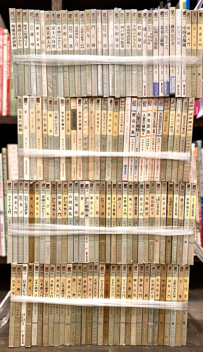 みんな大好き《カラーブックス》！

ほとんどが100円均一になります。気に入ってるやつだけ店内に並べます。