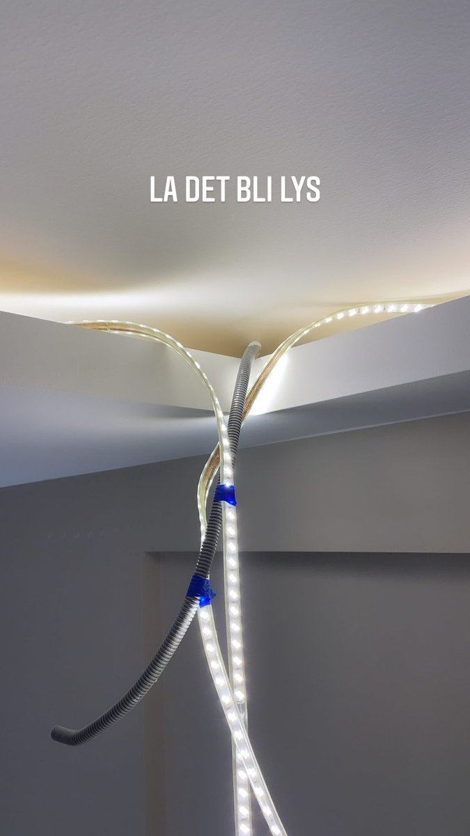 Andreas Rolland tweet media