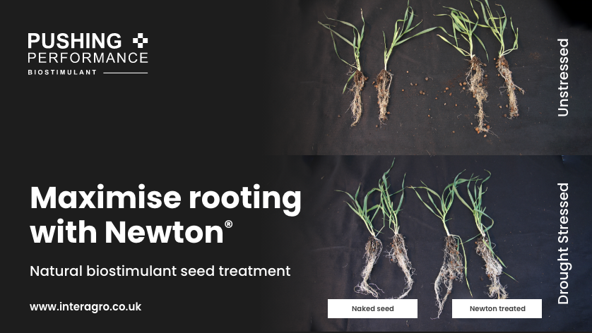 NichinoUK's tweet photo. Achieve strong #establishment this #spring with Newton🌱
It offers exceptional #rooting, improves germination & emergence in #springcereals under stressful growing conditions, & helps crops cope better in a #drought 💪
See how much you could gain ➡️https://t.co/8jfHMez5Lb https://t.co/dGPy0PEgiD