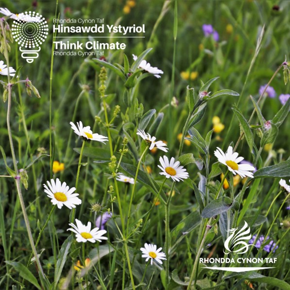 RCT Council on Twitter wildlife to your garden by building a