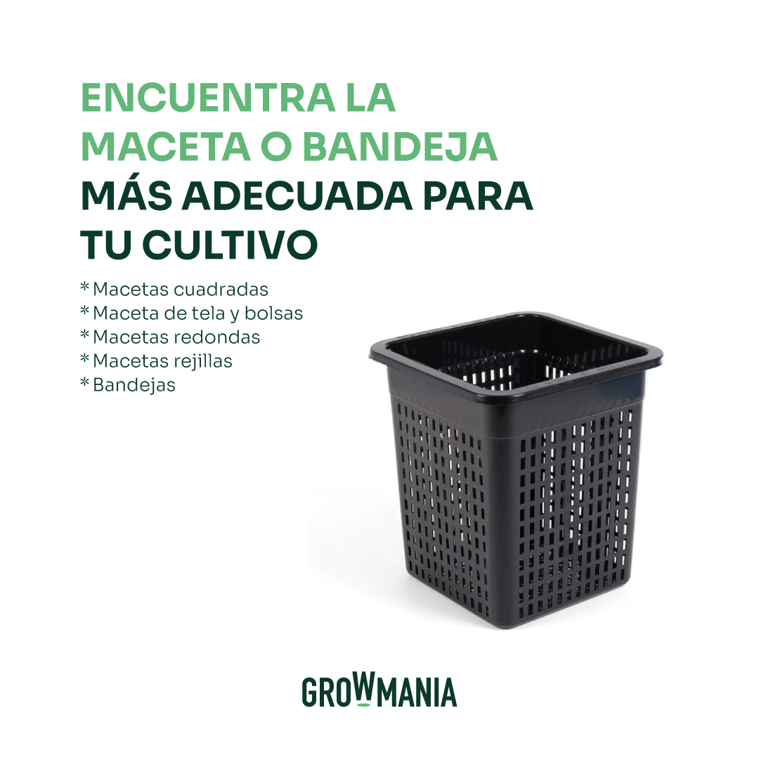 growmania_esp's tweet photo. Encuentra la maceta o bandeja más adecuada para tu cultivo

Encuéntralo en 
🛒https://t.co/I2TZVom150

#Growmania #growshop #growonline #Marihuana #filtro #cannabis #led #feminizadas #iluminacion #macetas #bandejas https://t.co/hWXH622Efx