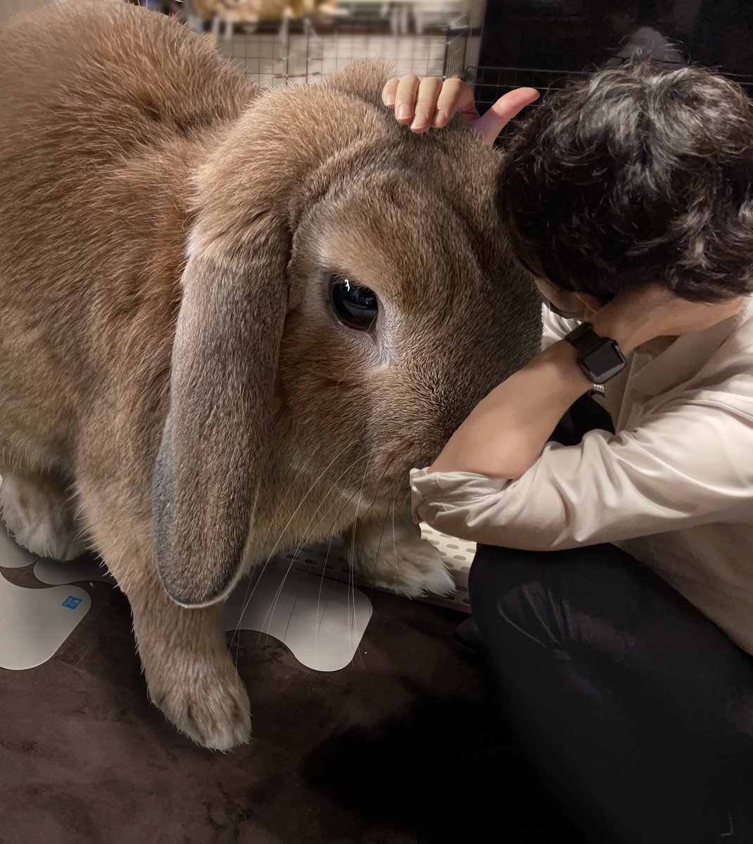 「今日神経抜いて、しばらくは激痛治らなかったんだけど今は落ち着いてます。みなさまア」|もっちゃん（TAKUMI）のイラスト