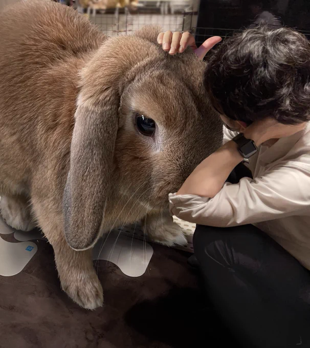 今日神経抜いて、しばらくは激痛治らなかったんだけど今は落ち着いてます。みなさまアドバイスありがとうございました。歯は本当に大事にしないとですね。無神経男になったけど、歯の痛みだけは誰より思いやれる男になったのでご安心ください。もっちゃん、歯みせてみ〜 