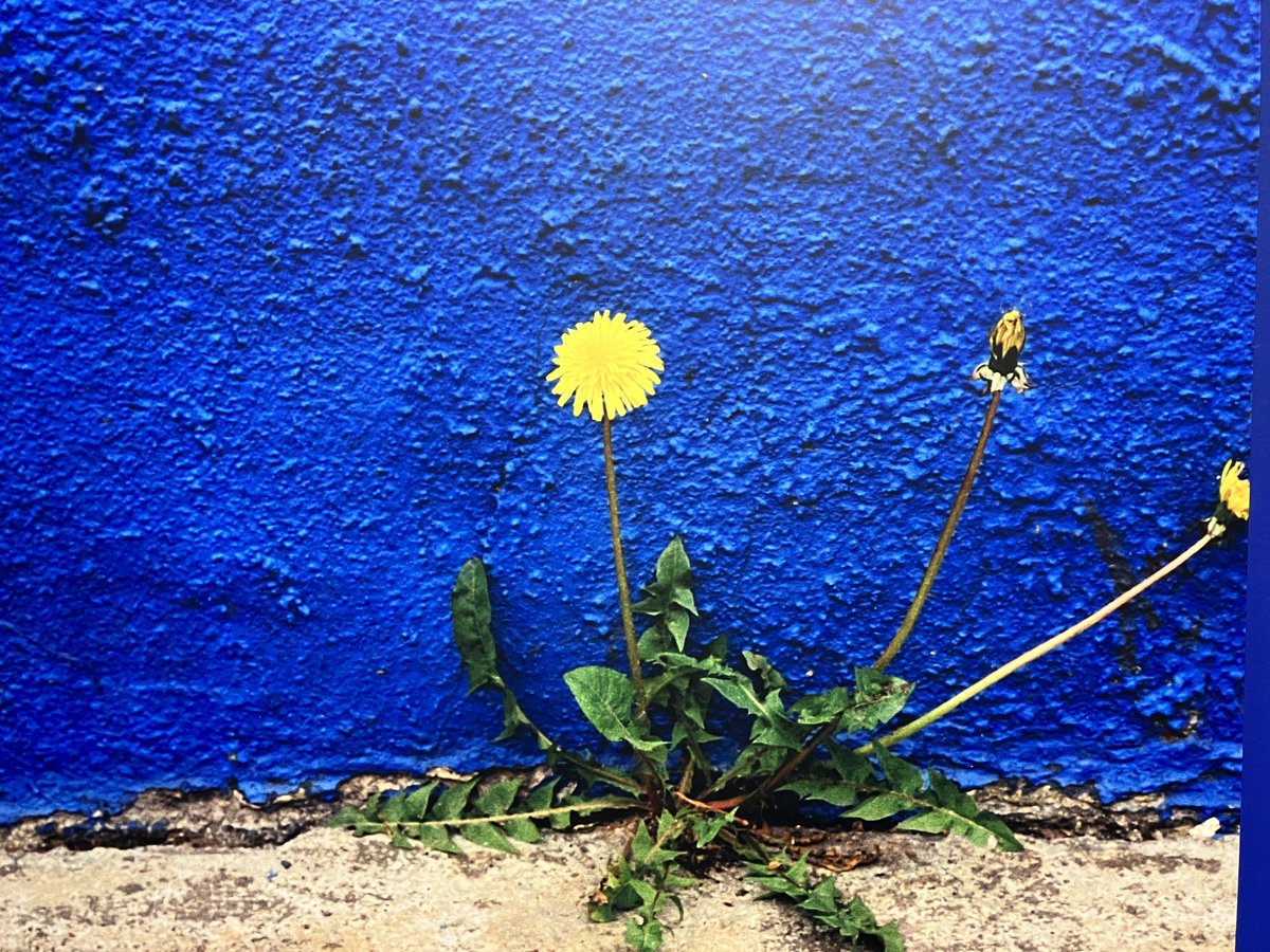 #UkraineWillWin 🇫🇮🇺🇦🇵🇱