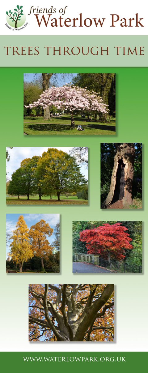 See Trees Though Time at Heritage Fair Sat 25 Feb 12.30-5.00 in #Lauderdalehouse Collect your route map to 60+ newly labelled trees in #waterlowpark #heritage #parks #highgate #trees