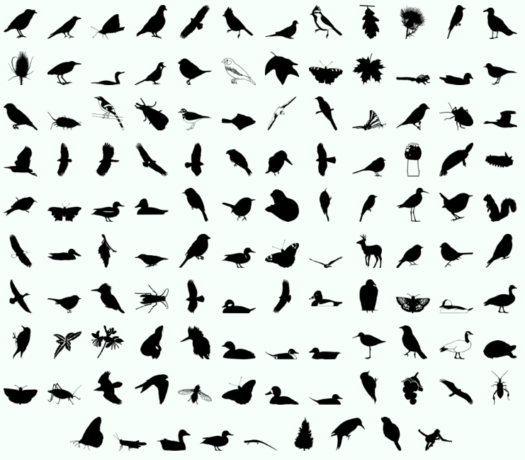 AndyWGettysburg's tweet photo. I've added a few more silhouettes to PhyloPic recently. All are (CC) fully open access. https://t.co/qRt5bFZADD https://t.co/YsunaZKcd8