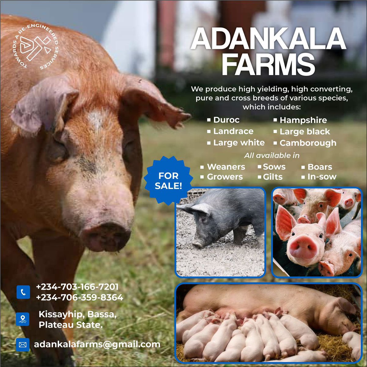 AdankalaF's tweet photo. Open for business….
@JoshuaAdankala @AlutaFearless @ALUTARADIO1759 https://t.co/65XI5Usoip