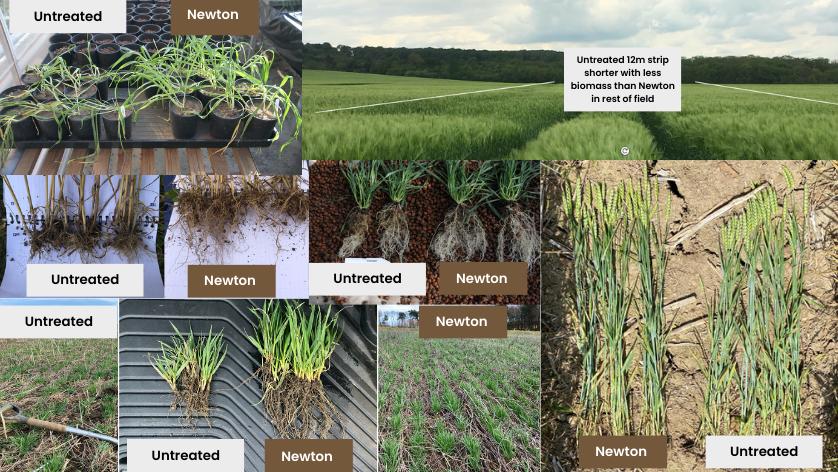 Nichino UK tweet media