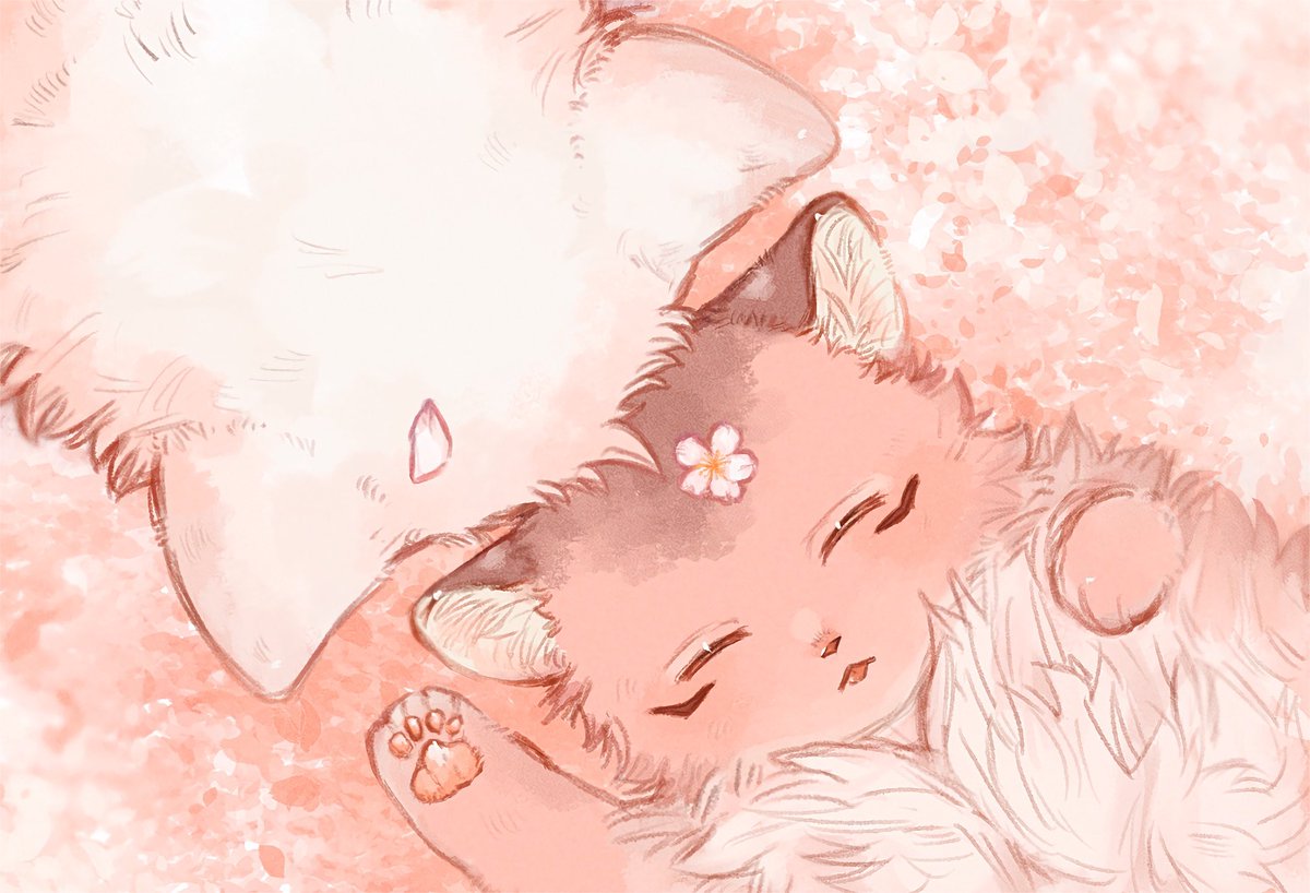 no humans closed eyes sleeping flower cat pokemon (creature) lying  illustration images