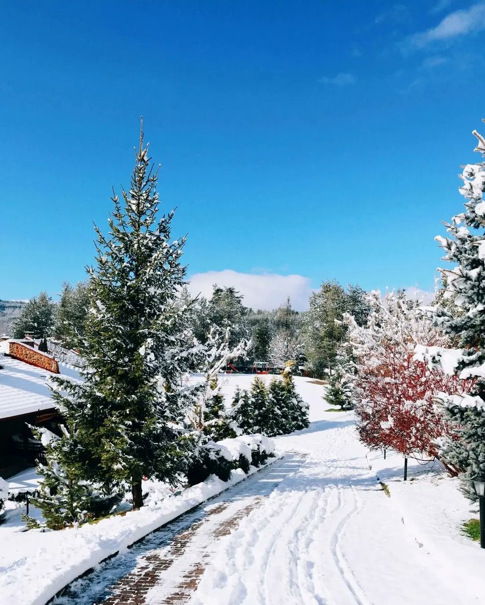 BEAUTIFULBALKA's tweet photo. #NorthMacedonia 🇲🇰
Location📍Aurora Resort & Spa
Follow ➡️➡️ @BEAUTIFULBALKA
#BeautifulBalkans #BeautifulMacedonia
.
.
.
#VisitBalkans #TravelBalkans #DiscoverBalkans #ExploreBalkans #VisitMacedonia #DiscoverMacedonia #TravelMacedonia #ExploreMacedonia https://t.co/l4AZ31e6s1