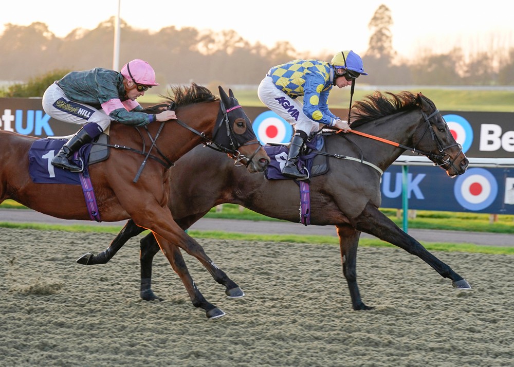 Lingfield Park on Twitter: