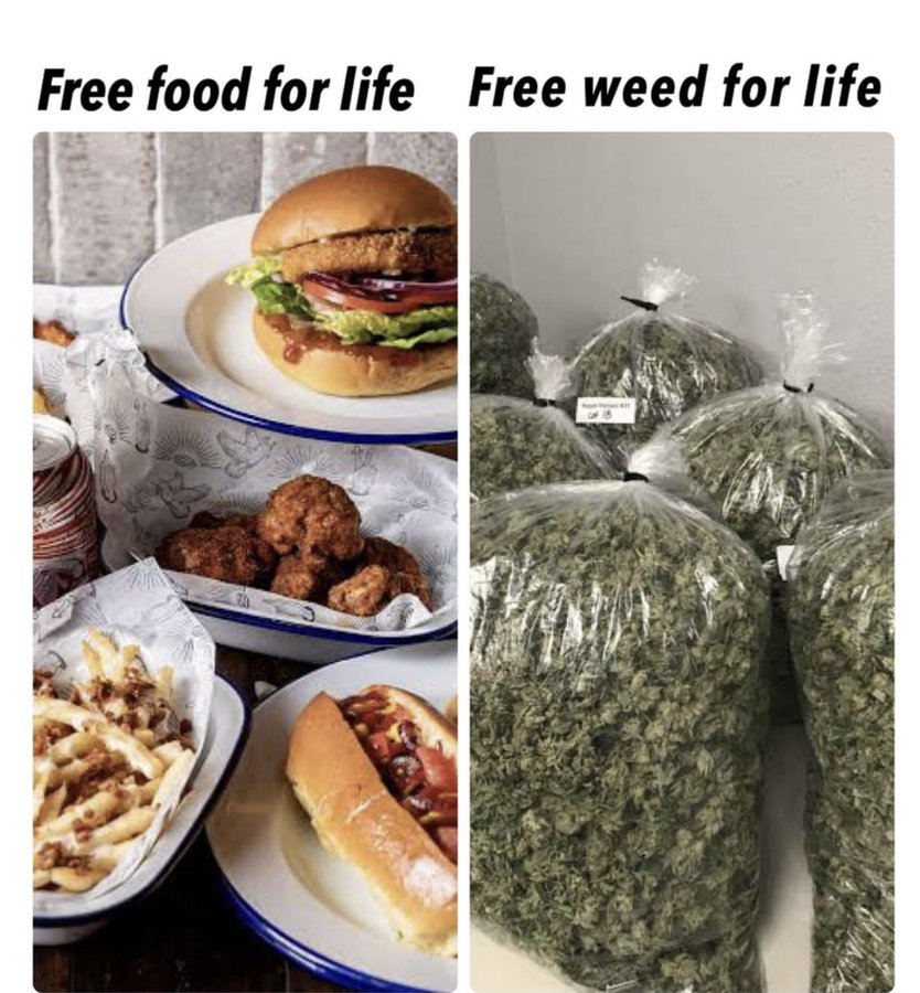 NewAgeCannaPC's tweet photo. Free food or free weed? https://t.co/QXJWhOBr7q