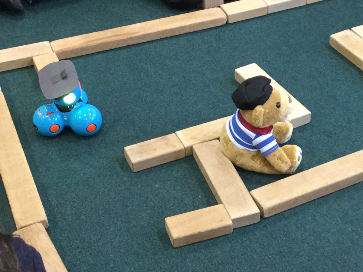 MrsDGICT's tweet photo. Monsieur Dash was given directions in French to get through the maze to find and greet baby Camembear @Camembear1 https://t.co/Dftip5KKEB