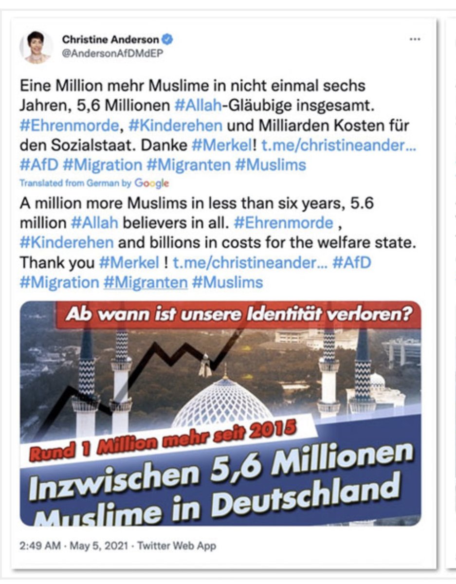 Warren Kinsella tweet media