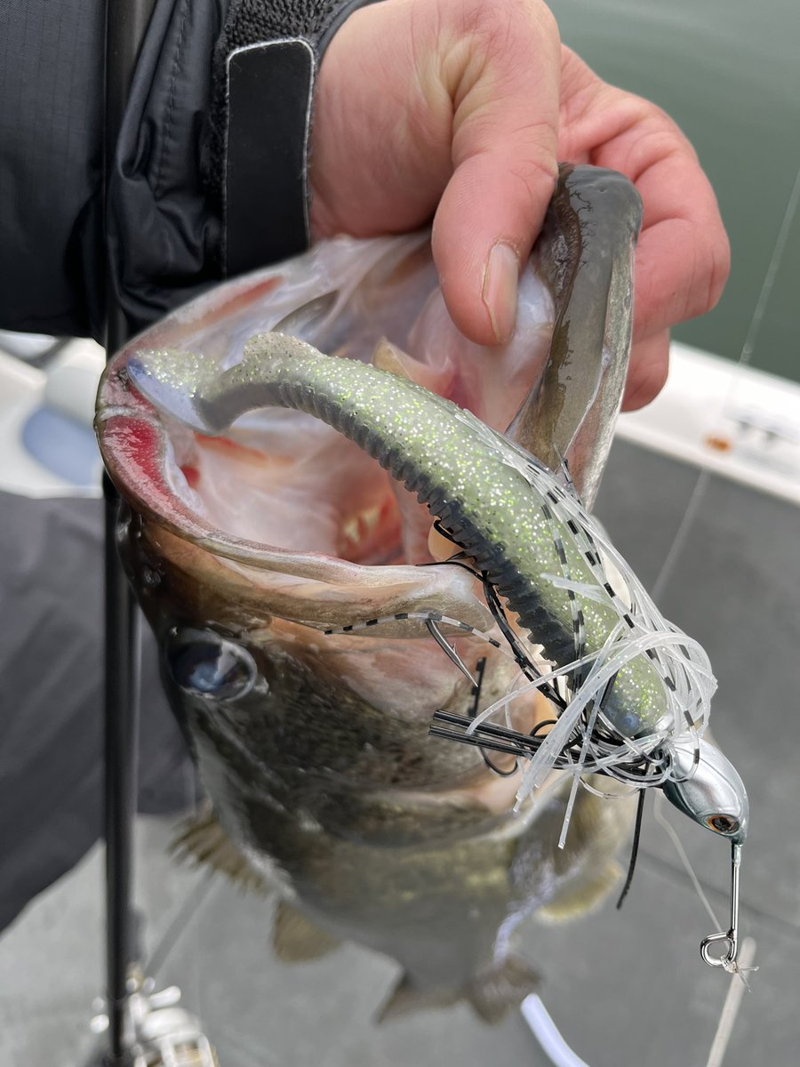hanai_junpei's tweet photo. 連日D-SWIMMER+ブルーノシャッドテールで釣れまくってる南湖
僕も波に乗って55cmをキャッチ🙆‍♂️

誰が引いてもいいアクションを引き出せるD-SWIMMER+ブルーノシャッドテール

スイムジグで釣ってみたい���、今後琵琶湖に行く方、このコンビを是非お忘れ無く❗️
#DSTYLE #Dスイマー #ブルーノシャッドテール https://t.co/jhYEzBYDgM