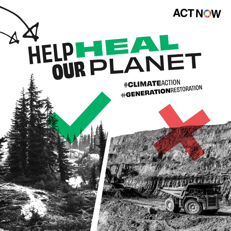 UNEP's tweet photo. Forests are critical carbon sinks for #ClimateAction. Yet the world loses 10 million hectares of forest every year.

Urgent action is needed now for conservation &amp; restoration.