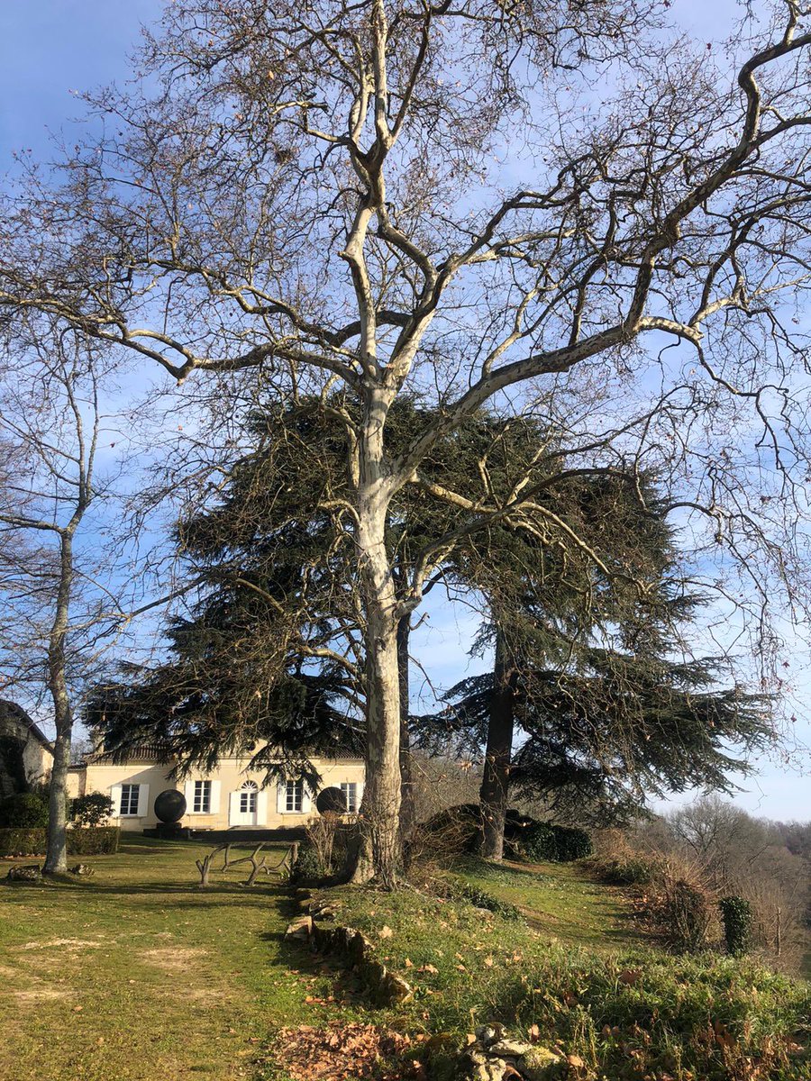 CHATEAU ROQUEFORT (@chroquefort) on Twitter photo Nature is our thing <a href="/BestOf_Bordeaux/">Best Of Wine Tourism | Bordeaux</a> #bestofwine2019 #award #Sustainability #bordeauxwines #heritage Nature is our thing <a href="/BestOf_Bordeaux/">Best Of Wine Tourism | Bordeaux</a> #bestofwine2019 #award #Sustainability #bordeauxwines #heritage