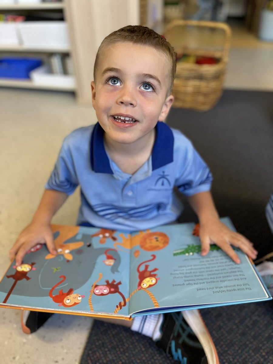 CatBYoung's tweet photo. We love reading in Pre-Primary @NewmanCollegeWA #challenge #collaborate #shinethroughdiscovery https://t.co/k4VtLOxUWa