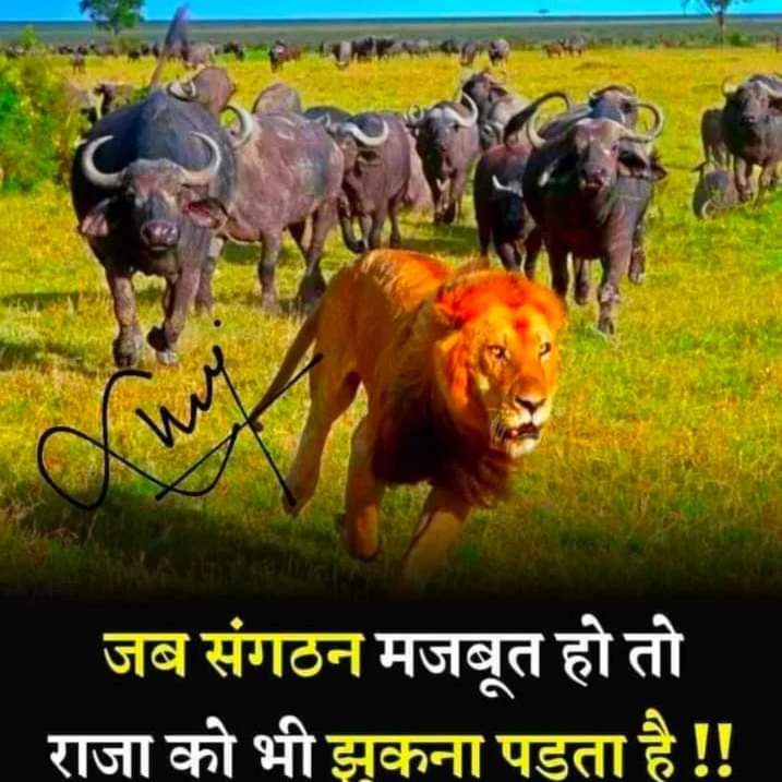 OBCHemantSahu's tweet photo. #जागो_ओबीसी_जागो
अपनी शक्ति को पहचानो,अपनी हिस्सेदारी छीनकर लो,अब समय सत्ता और संसाधन पर हिस्सेदारी की है।पार्टीवाद छोड़ों,एकजुट हो जाओ फिर #जातिगत_जनगणना भी होगी और हक भी मिलेगा।। @OBCARMYCHEAF @MPARMYCHIEF @BhimArmyChief @jays_officia1 https://t.co/5KOqhUrY6q
