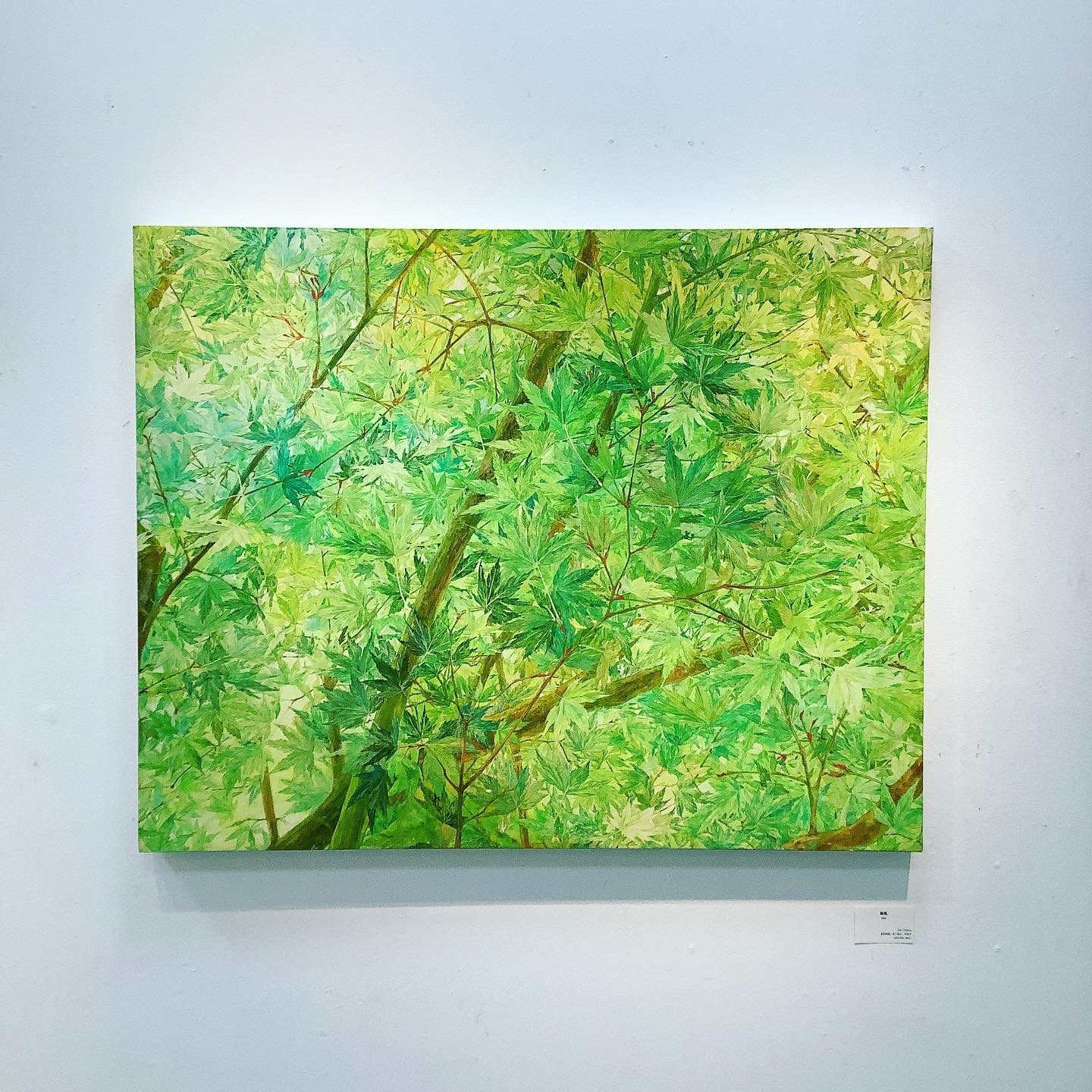 Hideharu Fukasaku Gallery Yokohama on X: 